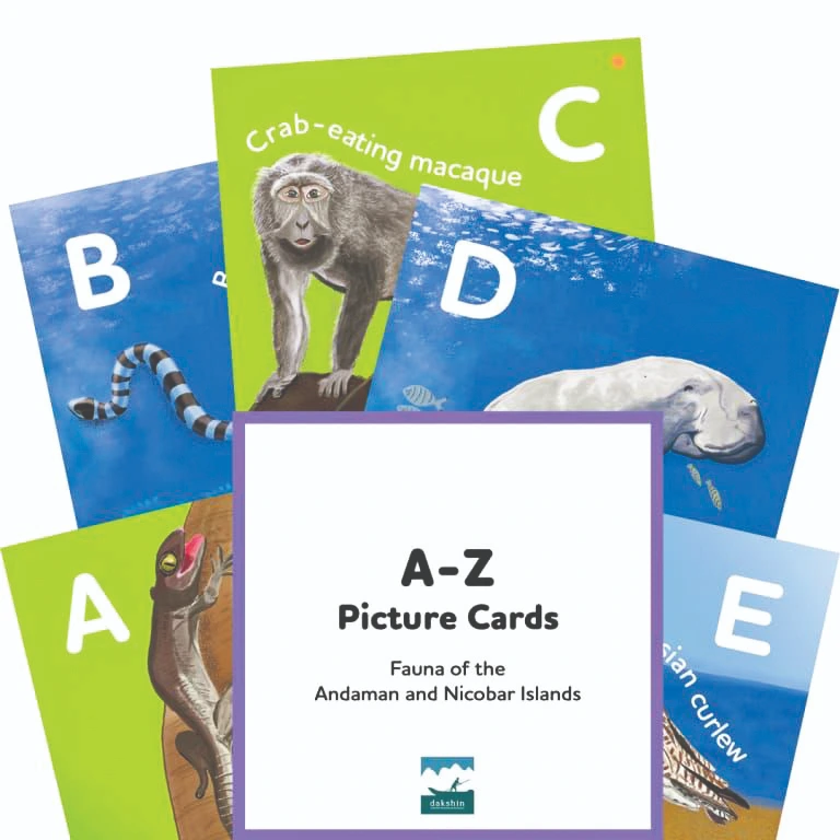 A-Z Picture Cards 