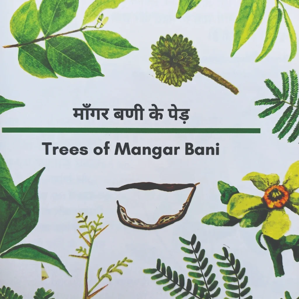 Trees of Mangar Bani Booklet Sanctuary Nature Foundation (Mud On Boots) and Mangar Eco Club