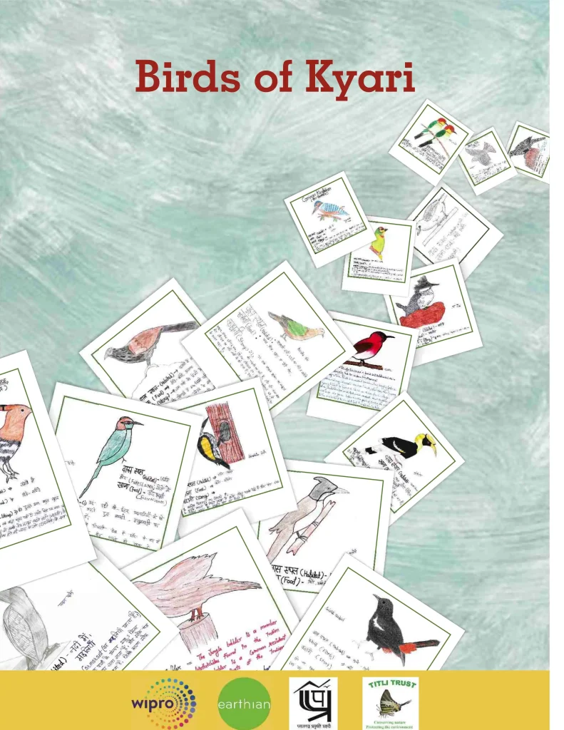 Birds of Kyari